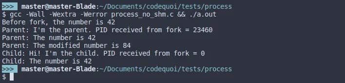 Wait Orphan Process