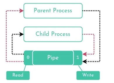 Pipe Diagram